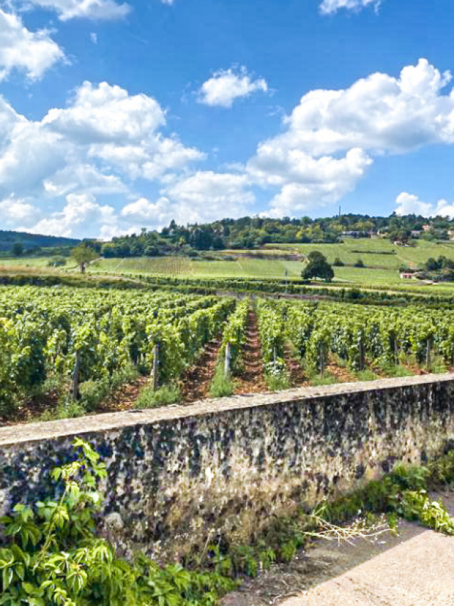 Beaune: hoofdstad van de wijnstreek Bourgogne