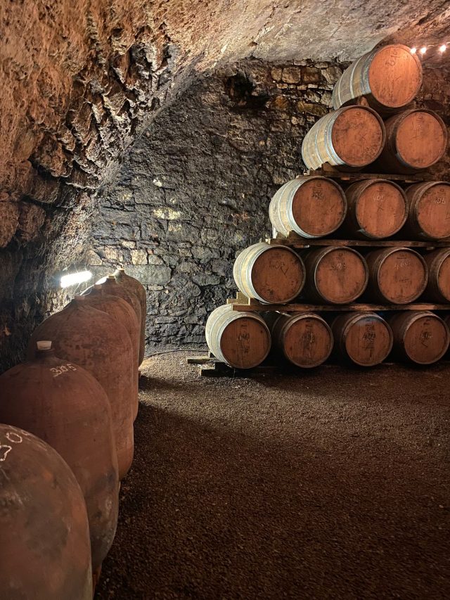 cropped-Languedoc-wijnreis-Woeste-wijngronden-5.jpeg