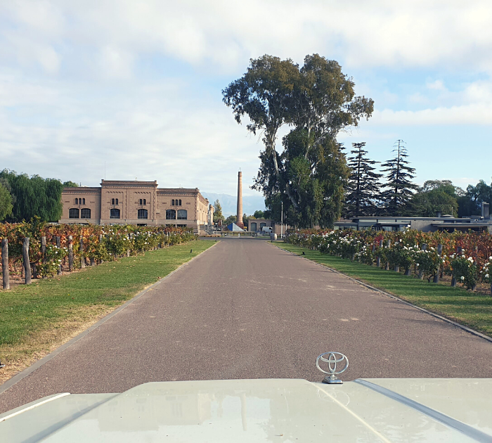 Mendoza argentinie woeste wijngronden (2)